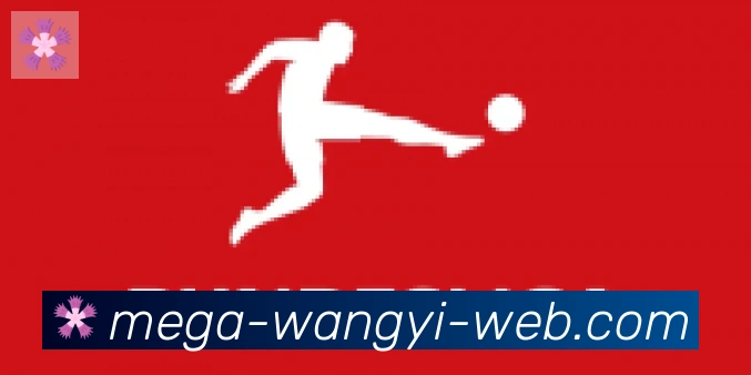 网易体育合作伙伴